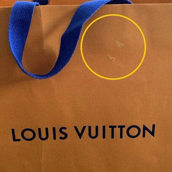 Louis Vuitton Medium 16”x13” Empty Paper Shopping Tote - Replacement Gift Bag - Picture 8 of 10